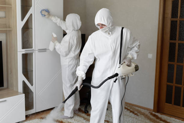 Best Mold Cleaning Services  in Pickerington, OH