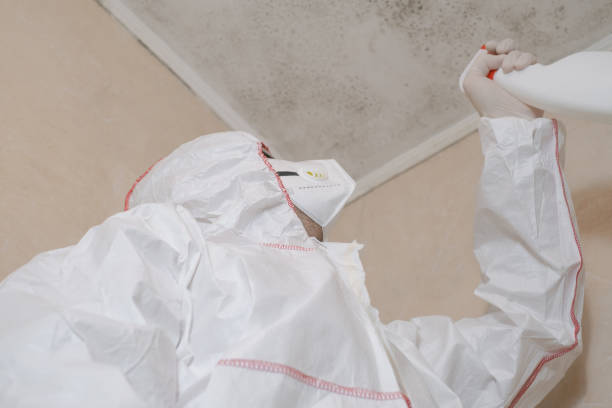 Best Home Mold Removal  in Pickerington, OH