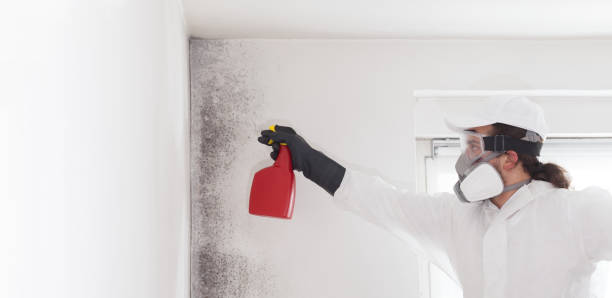 Crawl Space Mold Removal in Pickerington, OH